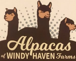 Alpacas of Windy Haven Farm