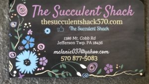 The Succulent Shack